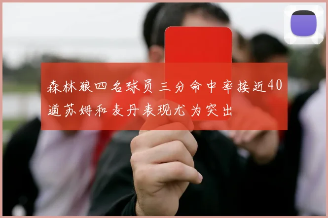 森林狼四名球员三分命中率接近40道苏姆和麦丹表现尤为突出