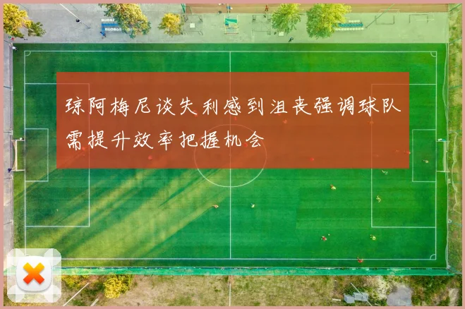 琼阿梅尼谈失利感到沮丧强调球队需提升效率把握机会