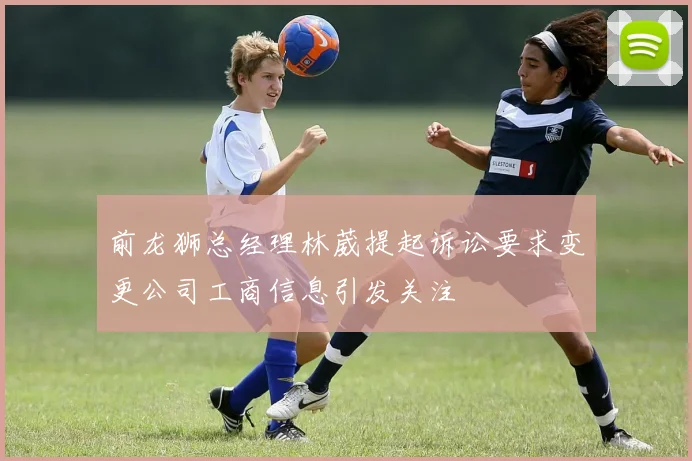 前龙狮总经理林葳提起诉讼要求变更公司工商信息引发关注