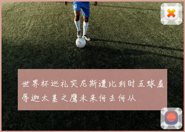 世界杯巡礼突尼斯遭比利时五球羞辱迦太基之鹰未来何去何从